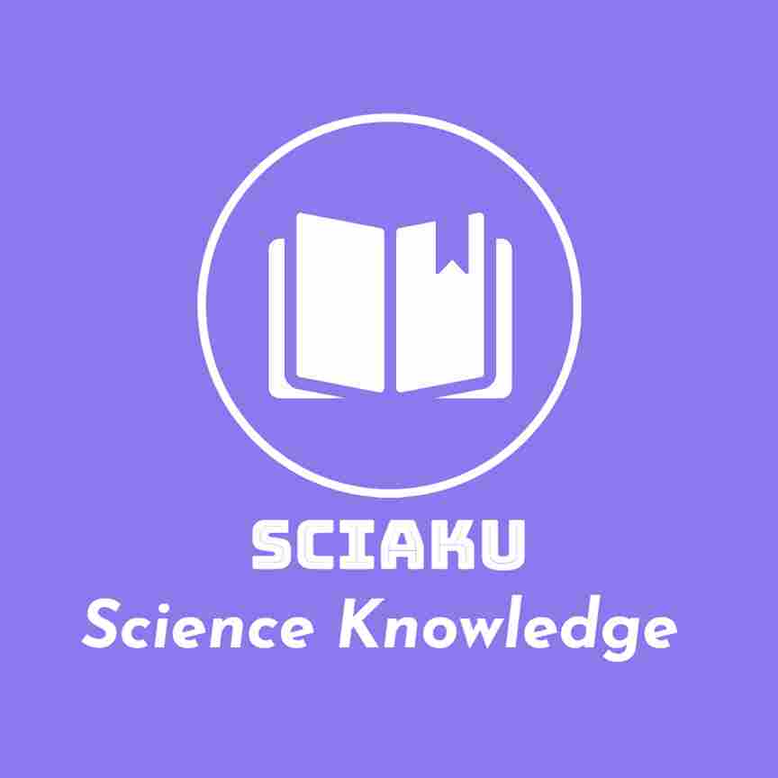 Login with google or username and password sciaku